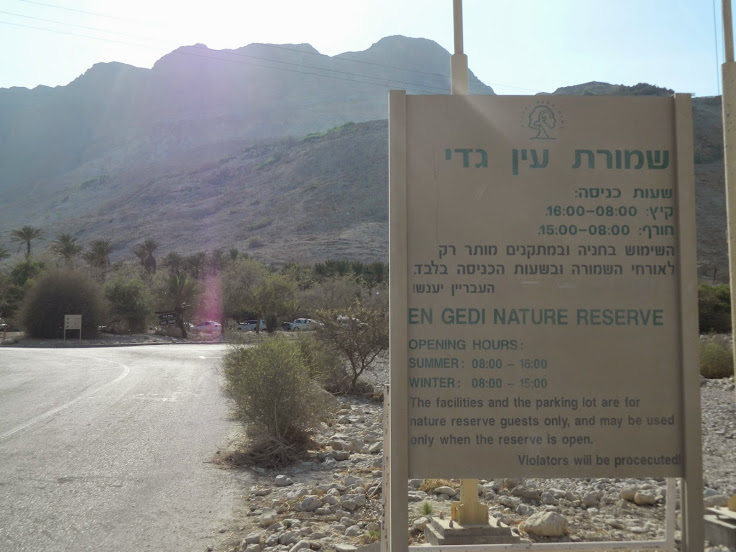 ENGEDI