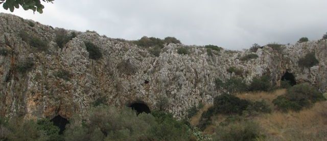Nahal3