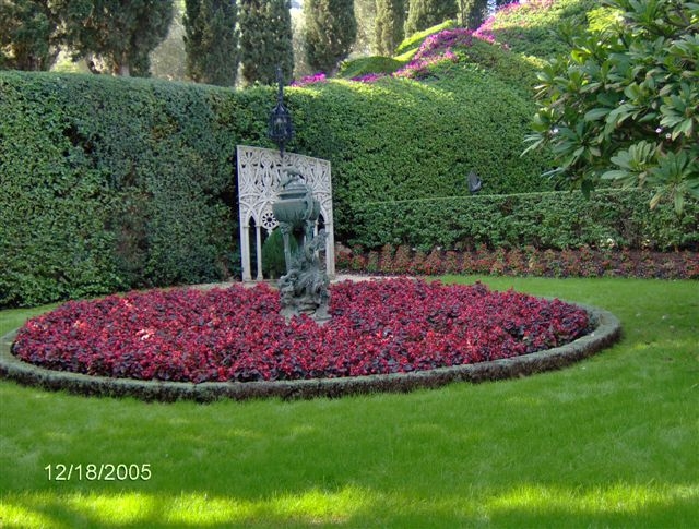 HPIM0695.JPG
