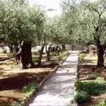 getsemane2